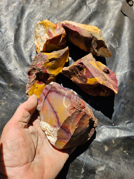 Mookaite rough.  MKR 301