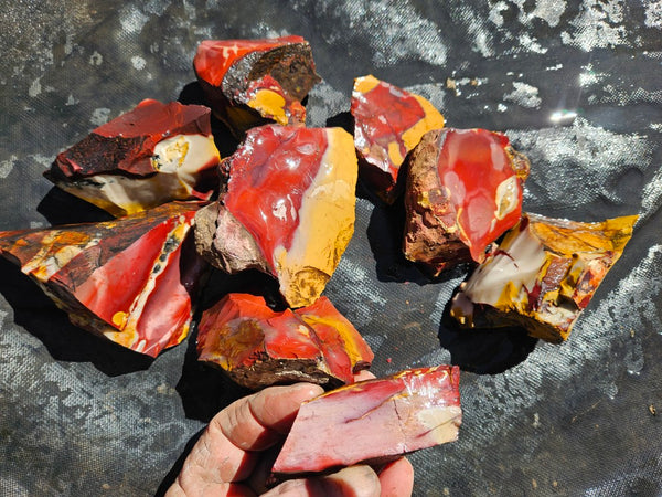 Mookaite rough.  MKR 300