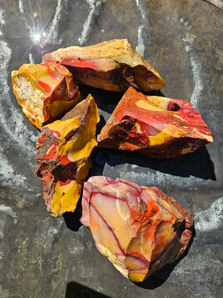 Mookaite rough.  MKR 301