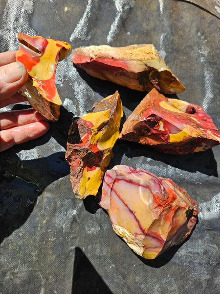 Mookaite rough.  MKR 301