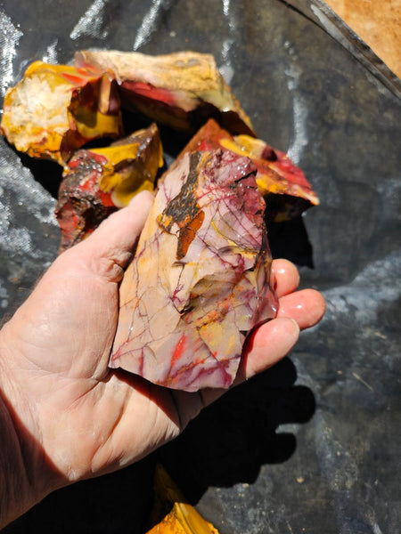 Mookaite rough.  MKR 301