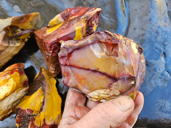 Mookaite rough.  MKR 301