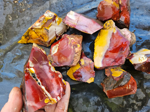 Mookaite rough.  MKR 300