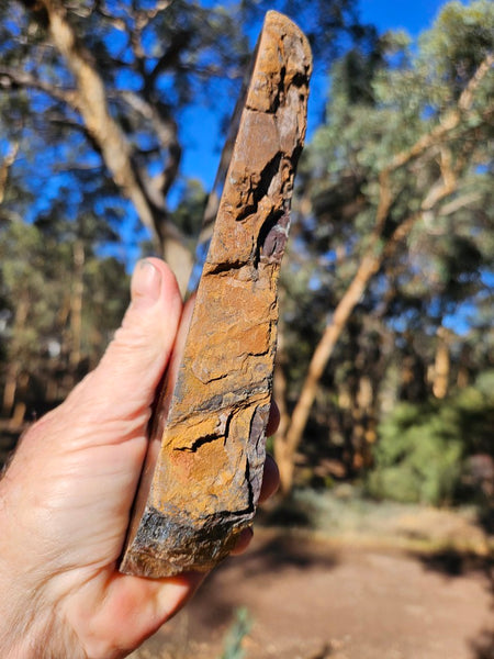 Polished African Tiger Eye  TEA116
