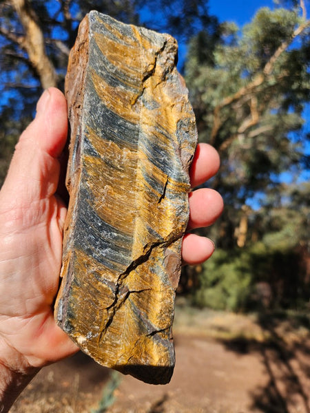 Polished African Tiger Eye  TEA116