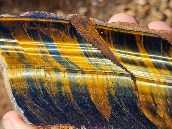 Polished African Tiger Eye  TEA116