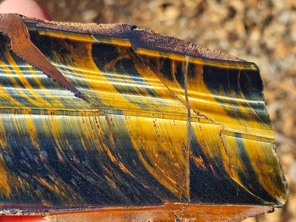 Polished African Tiger Eye  TEA116