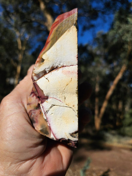 Polished  Mookaite  MK588