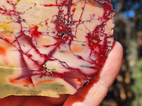 Polished  Mookaite  MK588