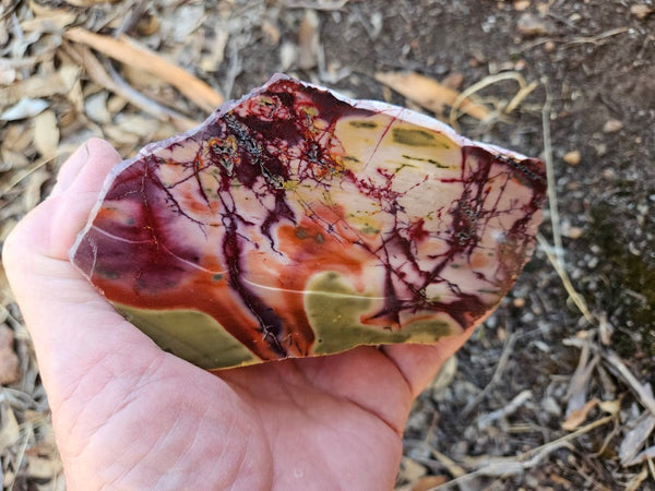 Polished  Mookaite  MK588