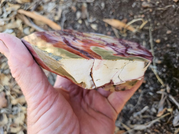 Polished  Mookaite  MK588