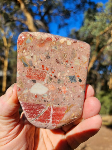 Polished Chert Breccia  CB121