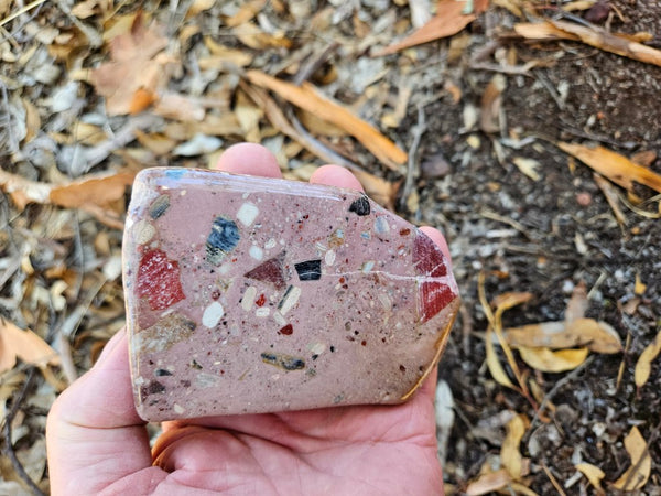 Polished Chert Breccia  CB121