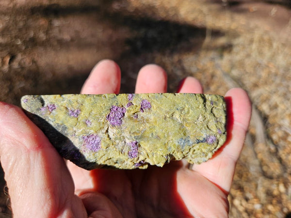 Polished Stichtite in Serpentine (Atlantisite) STI153