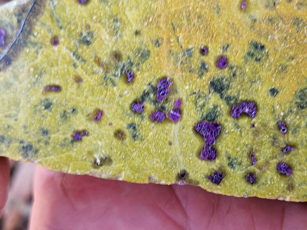 Polished Stichtite in Serpentine (Atlantisite) STI153