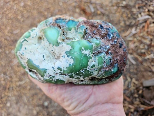 Tumble Polished Chrysoprase CHT169