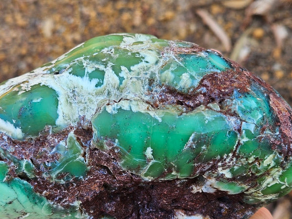 Tumble Polished Chrysoprase CHT169