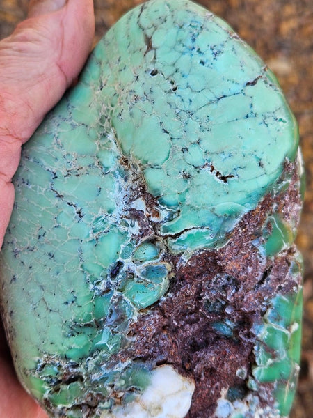 Tumble Polished Chrysoprase CHT169