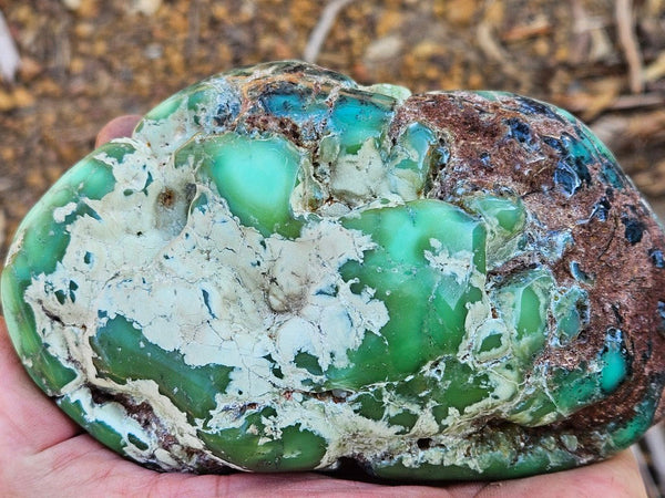 Tumble Polished Chrysoprase CHT169