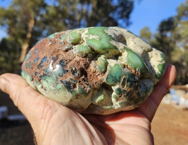 Tumble Polished Chrysoprase CHT169