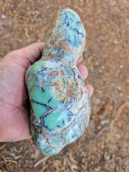 Tumble Polished Chrysoprase CHT170