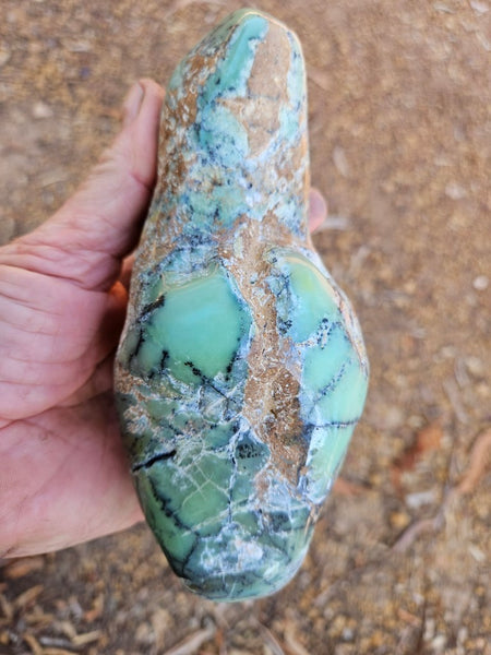 Tumble Polished Chrysoprase CHT170