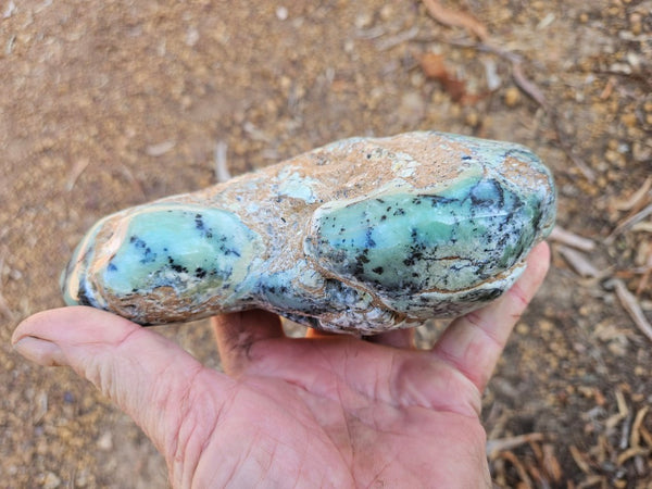 Tumble Polished Chrysoprase CHT170
