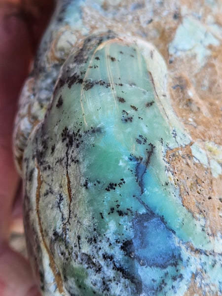 Tumble Polished Chrysoprase CHT170