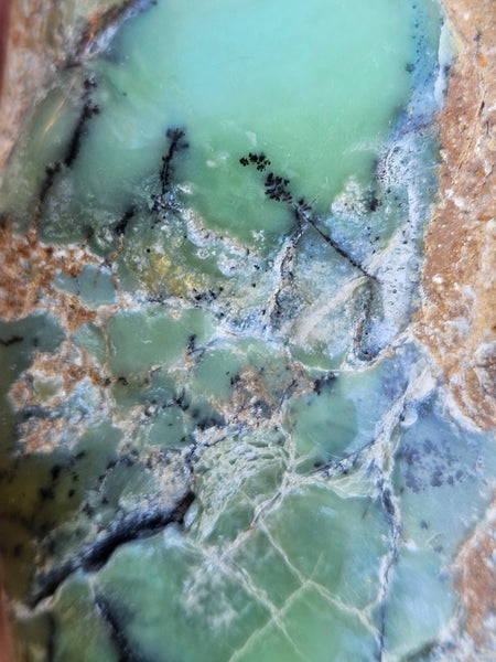 Tumble Polished Chrysoprase CHT170