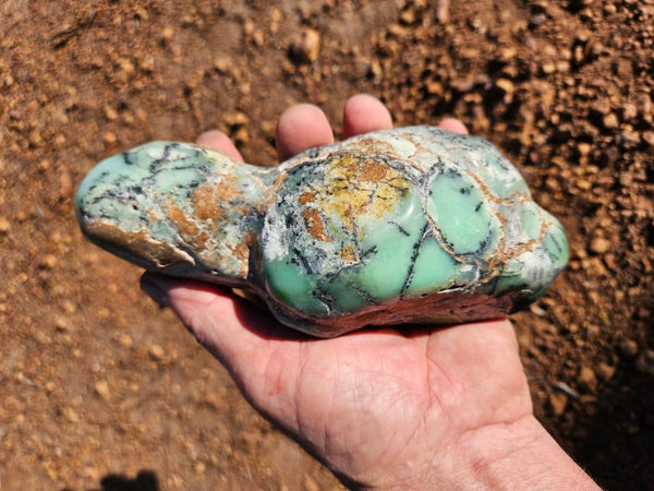 Tumble Polished Chrysoprase CHT170