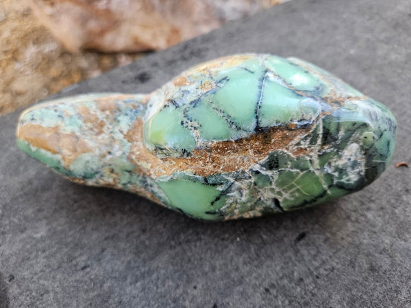 Tumble Polished Chrysoprase CHT170