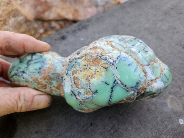 Tumble Polished Chrysoprase CHT170