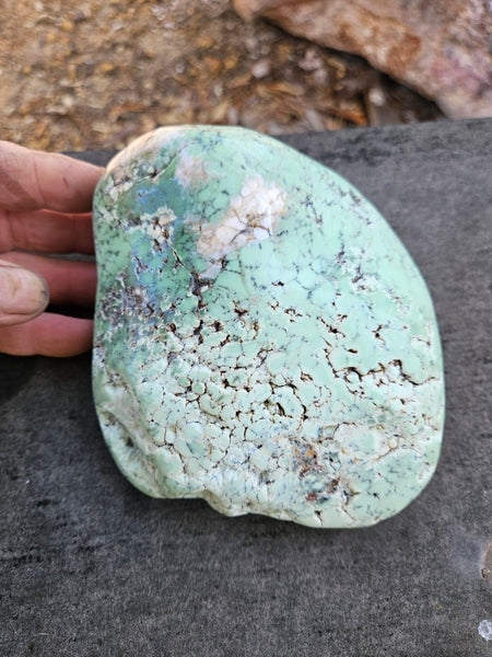 Tumble Polished Chrysoprase CHT171