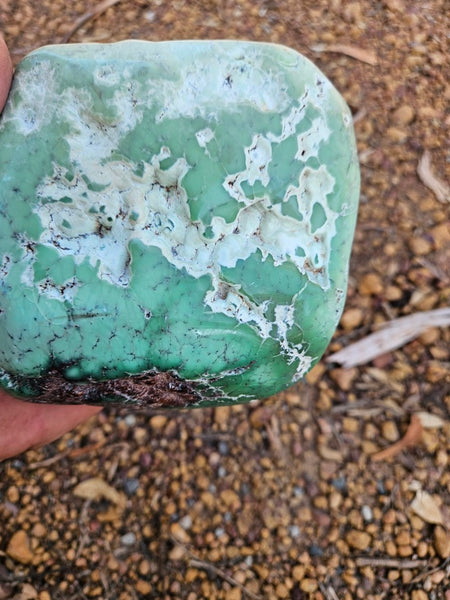 Tumble Polished Chrysoprase CHT171
