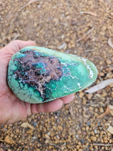 Tumble Polished Chrysoprase CHT171