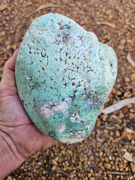 Tumble Polished Chrysoprase CHT171