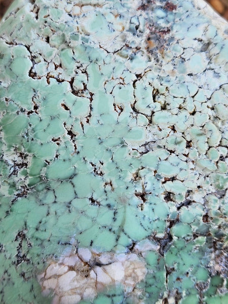 Tumble Polished Chrysoprase CHT171