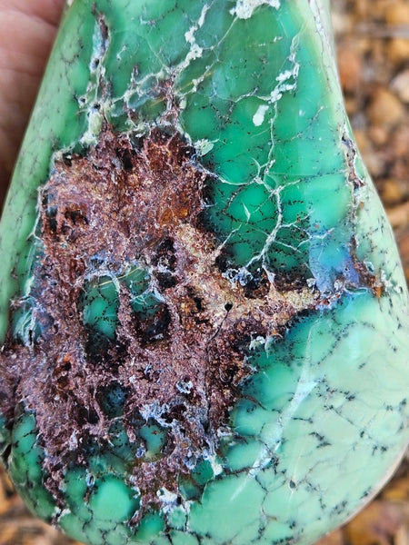 Tumble Polished Chrysoprase CHT171