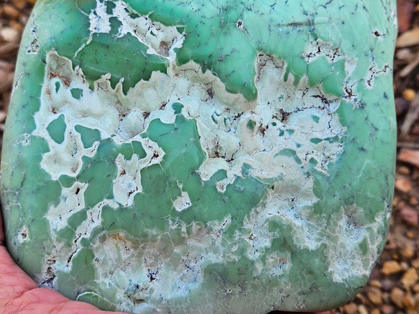 Tumble Polished Chrysoprase CHT171