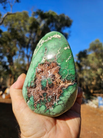 Tumble Polished Chrysoprase CHT171