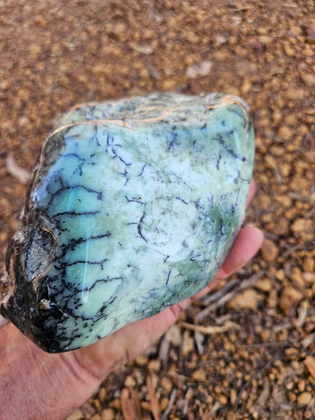 Tumble Polished Chrysoprase CHT172