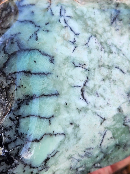 Tumble Polished Chrysoprase CHT172