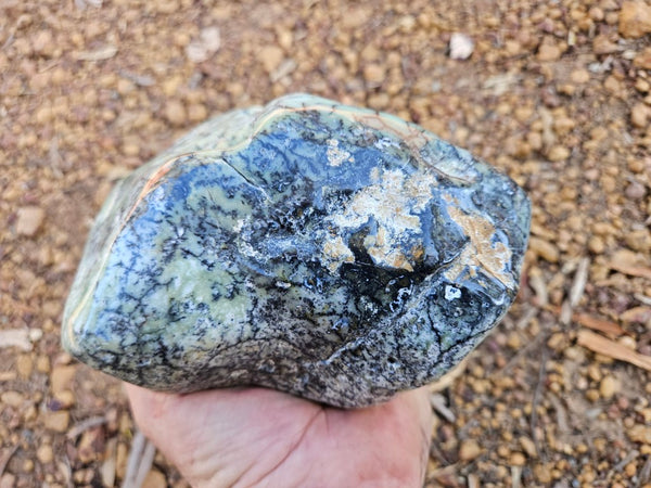 Tumble Polished Chrysoprase CHT172