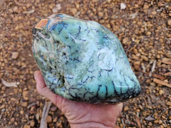 Tumble Polished Chrysoprase CHT172