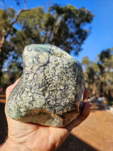 Tumble Polished Chrysoprase CHT172