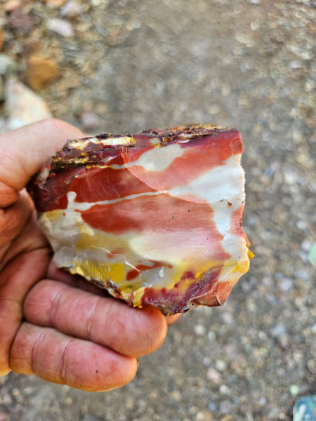 Mookaite rough.  MKR 303