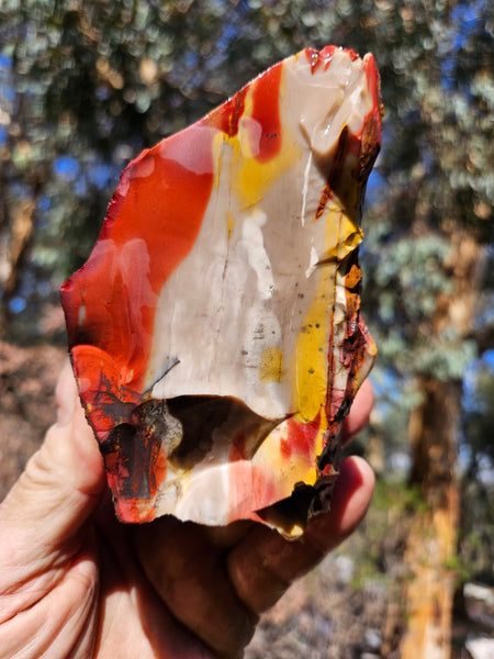 Mookaite rough.  MKR 303