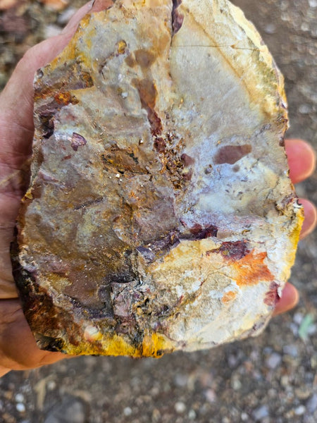 Mookaite rough.  MKR 304