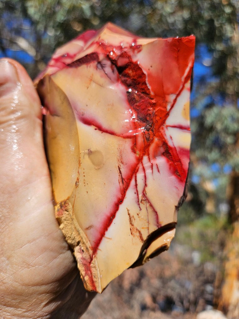 Mookaite rough.  MKR 304