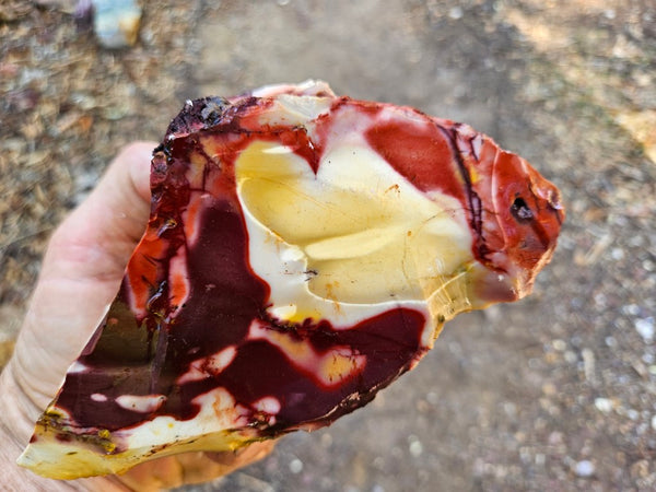 Mookaite rough.  MKR 305